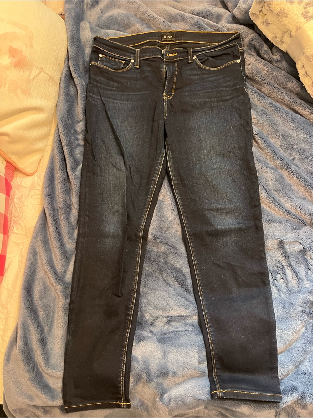 Hudson Jeans Dark Wash Skinny Jeans